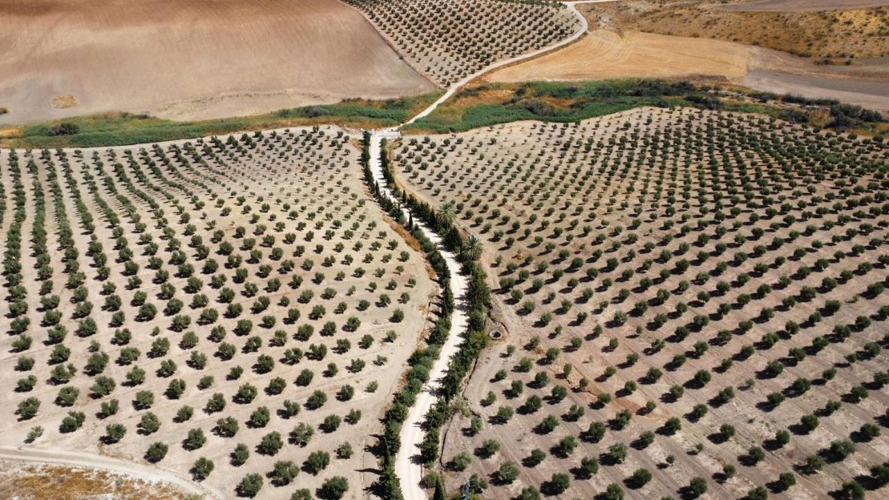 Cortijo Donana Villa La Puebla de Cazalla Dış mekan fotoğraf