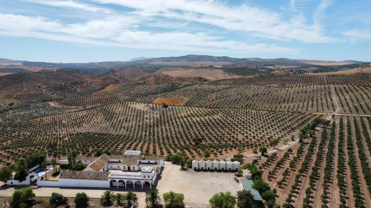 Cortijo Donana Villa La Puebla de Cazalla Dış mekan fotoğraf