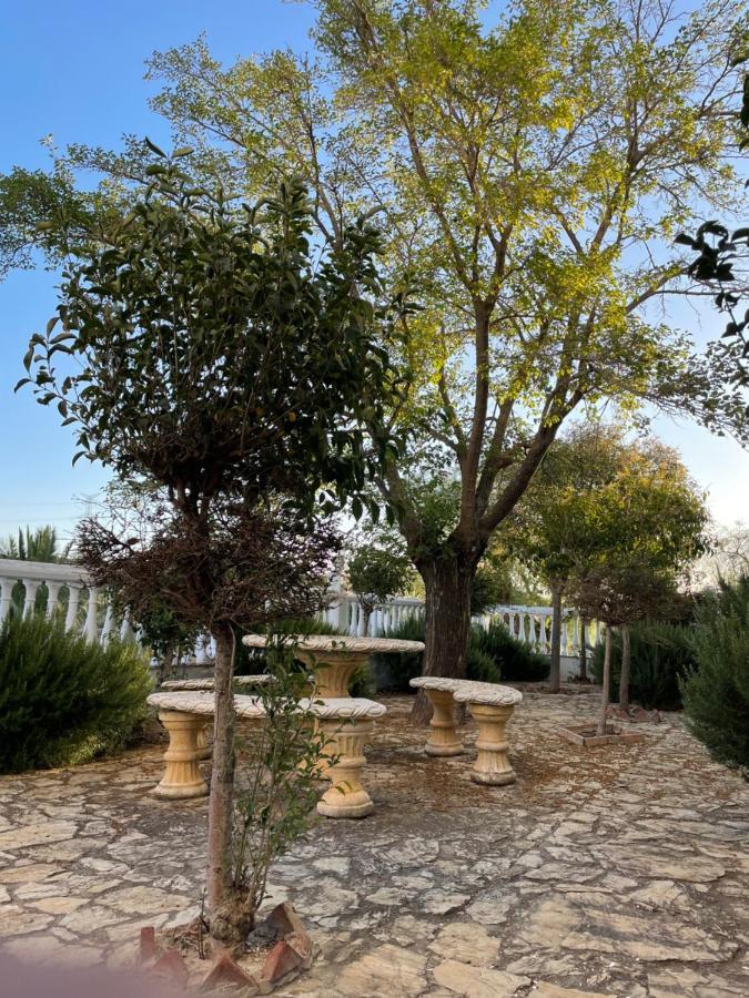 Cortijo Donana Villa La Puebla de Cazalla Dış mekan fotoğraf