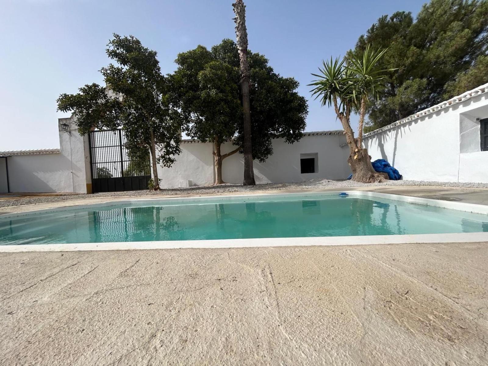 Cortijo Donana Villa La Puebla de Cazalla Dış mekan fotoğraf